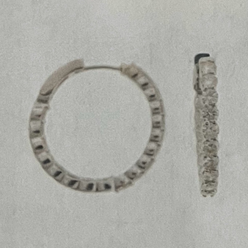 Elegant Platinum Hoop Earrings